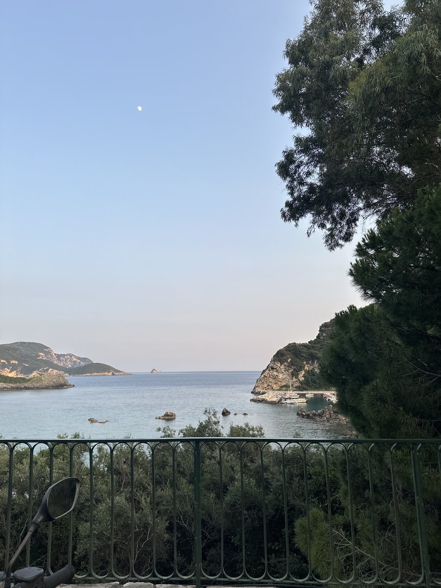 FS7 🌴 tweet media