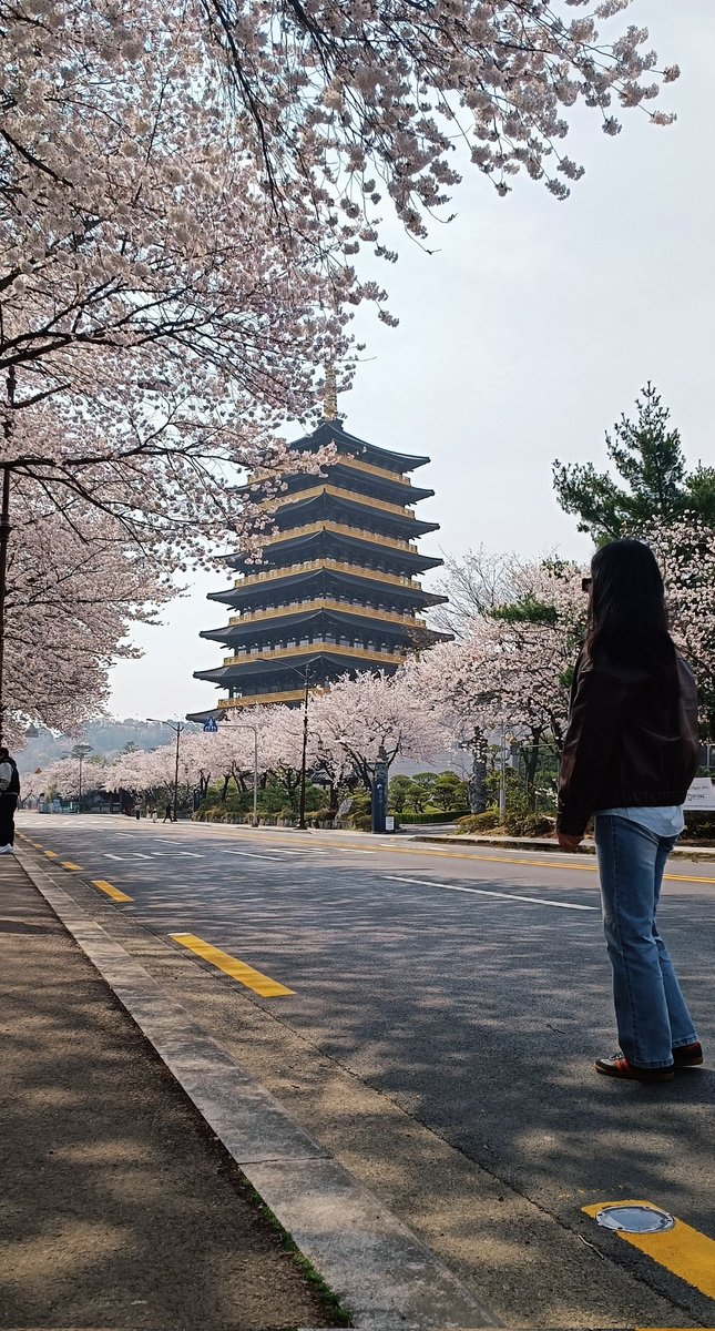 🌺Анжел🌸 tweet media