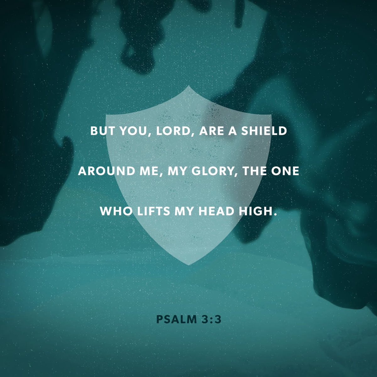 🥎 MIKE SMITH 🥎 tweet media