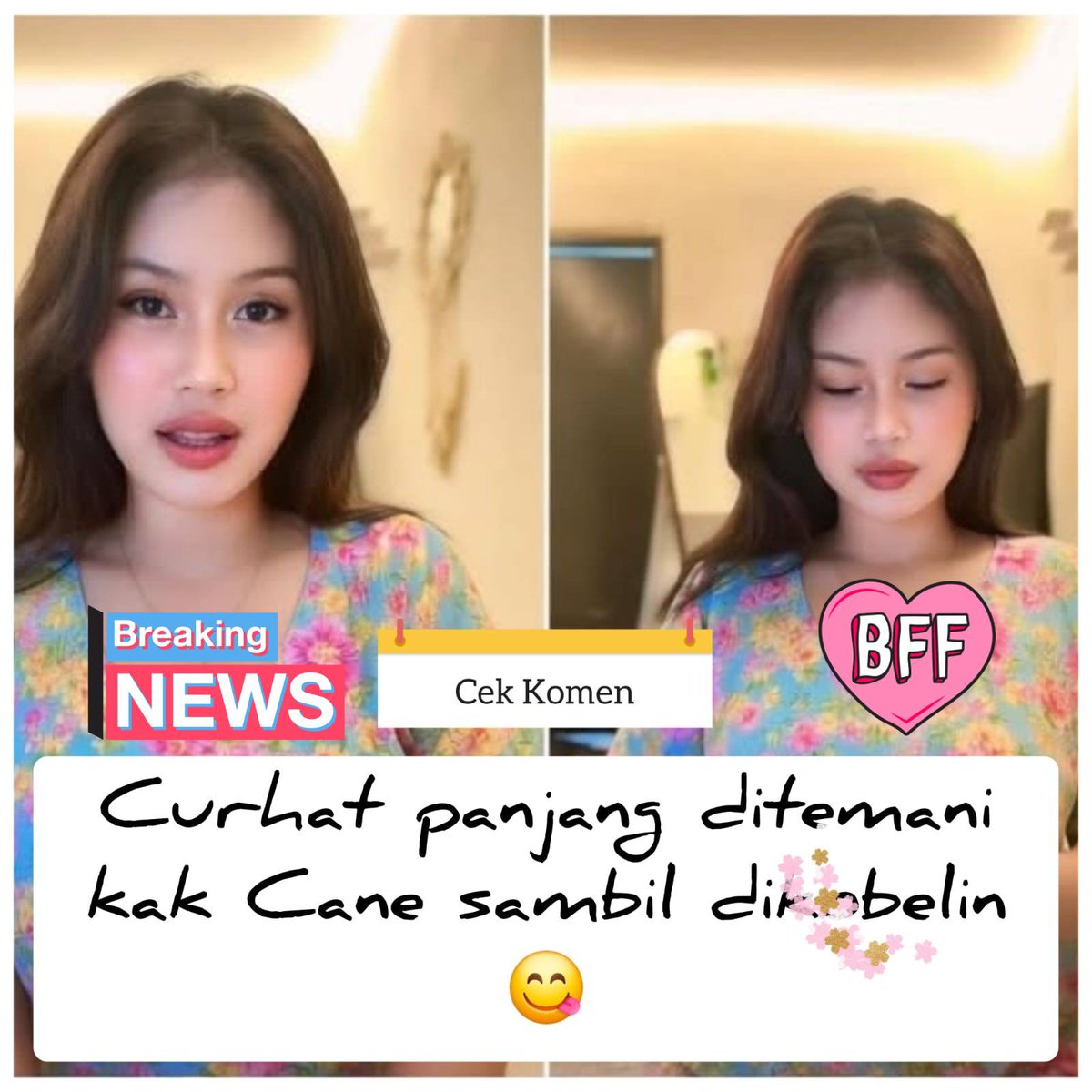 Lupi 🦭 tweet media