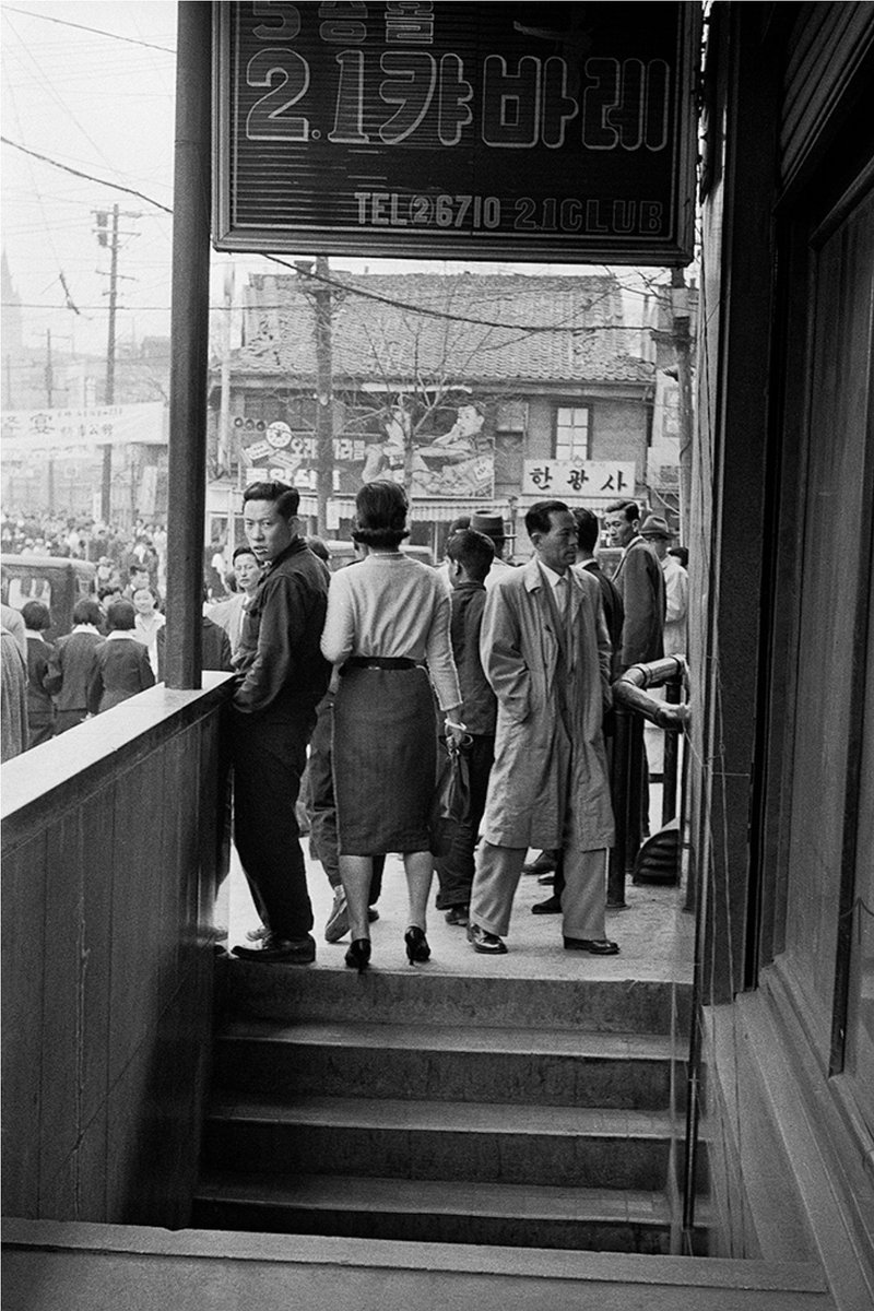 늘푸른소나무 tweet media