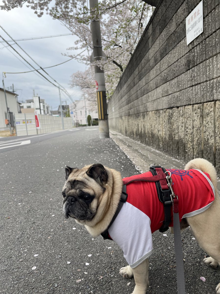 KEN☆○★ tweet media