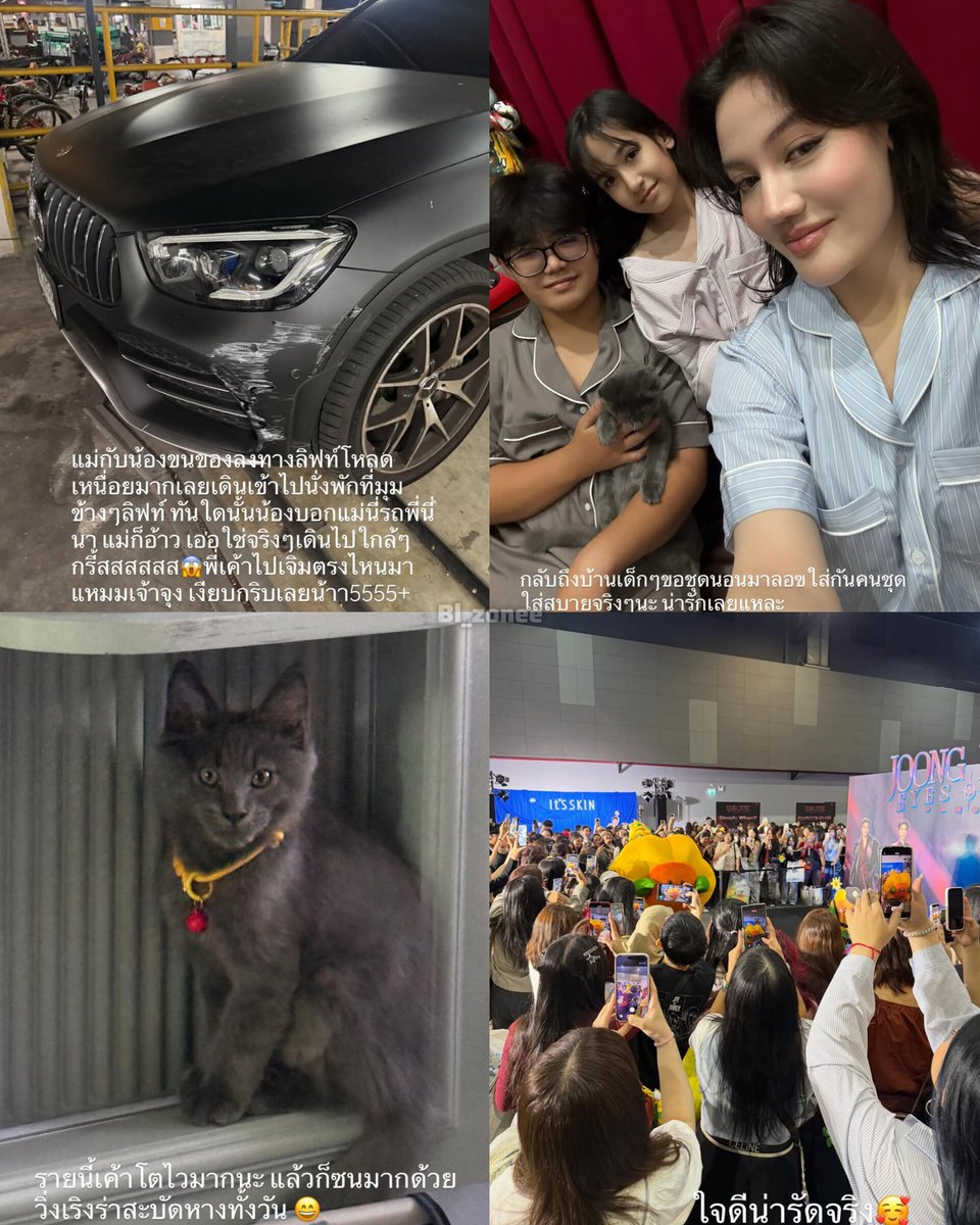 น้อย นก.🐣🌻 tweet media