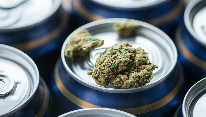 Temptersus's tweet photo. Washington Mayor Proposes Alcohol, Cannabis Companies Partner on THC Beverages

https://t.co/mdE8aSPfIt https://t.co/1vec7LusBZ
