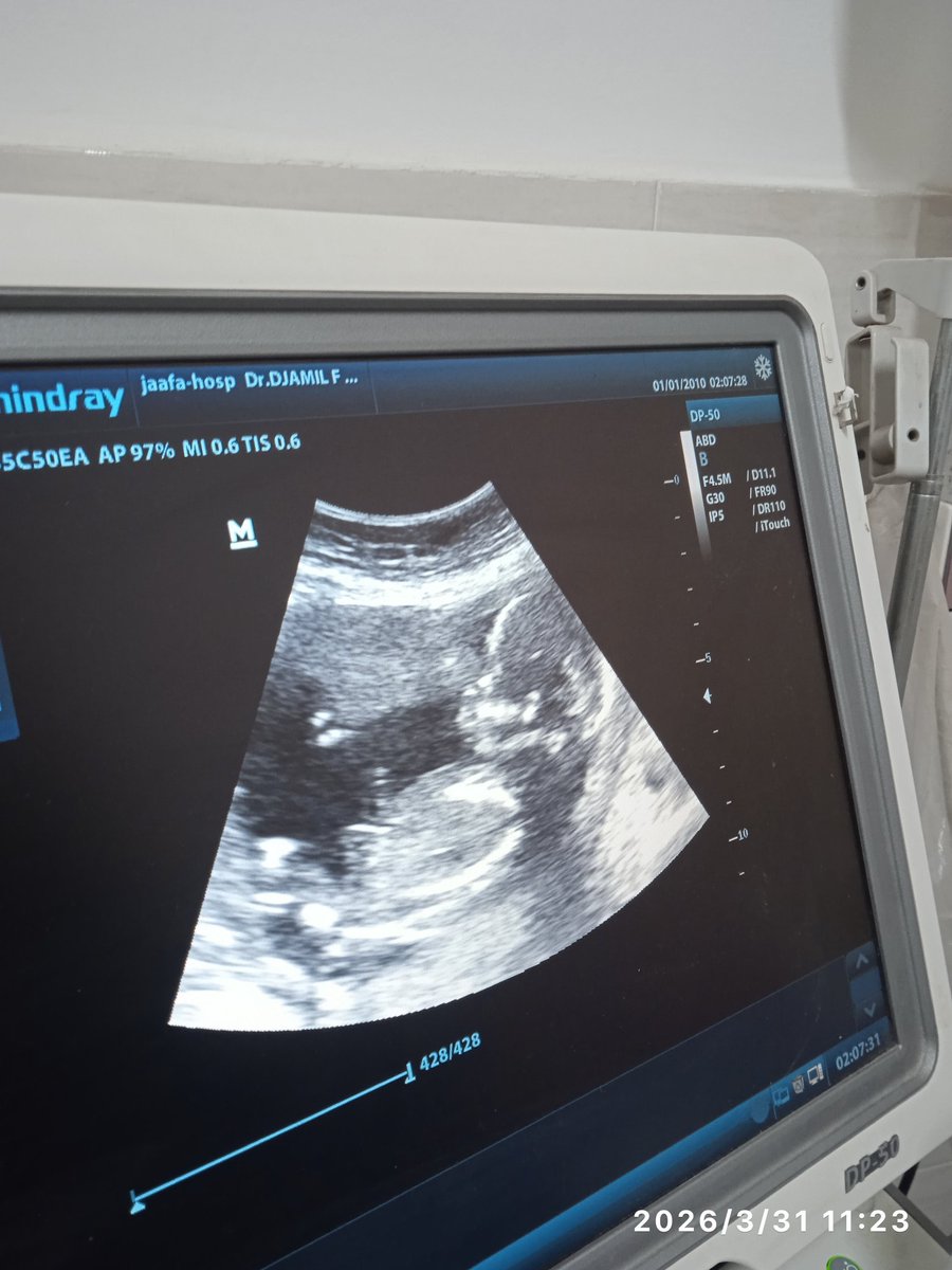 JEHAD | جهہ‏‏آد🇵🇸 tweet media