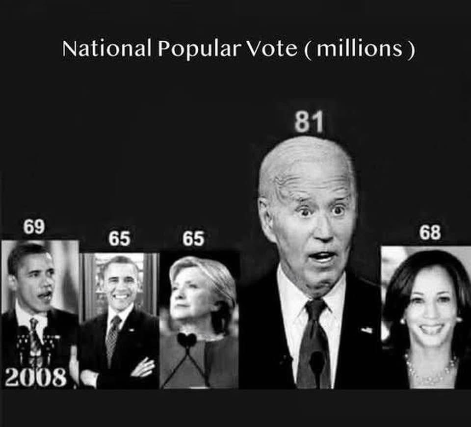 Constitutional Gator tweet media