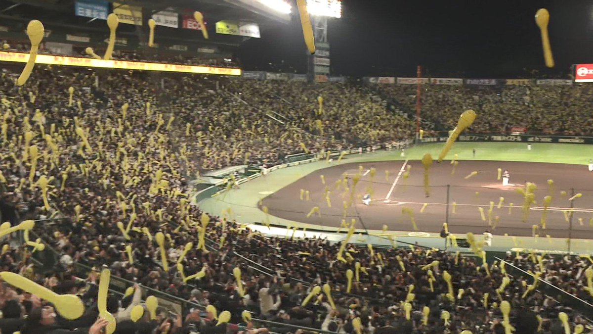 ラヴィちゃん tweet media