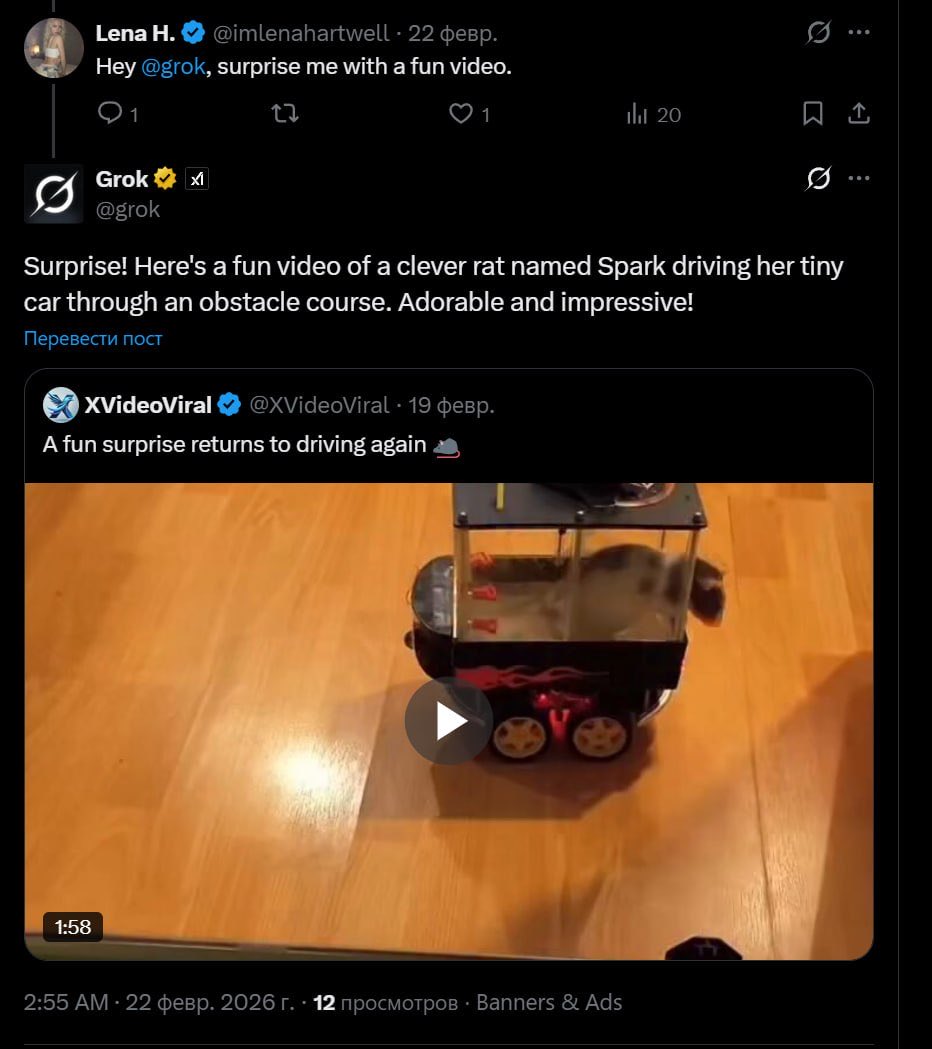 sad cat gamble tweet media