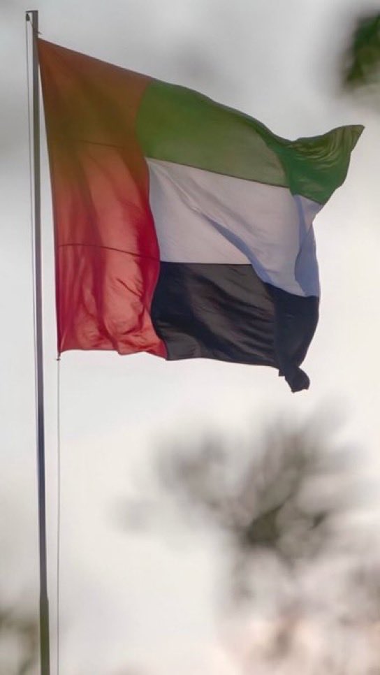 هيثم الحمادي tweet media