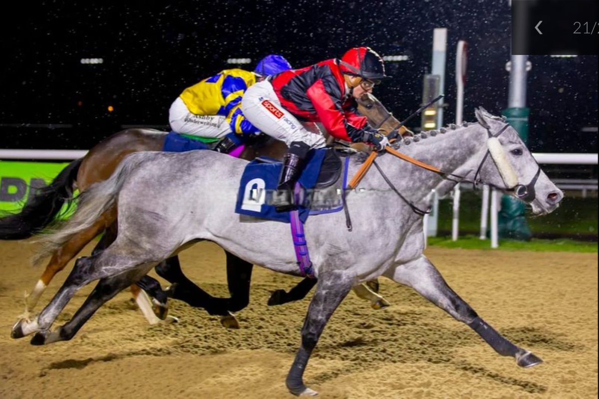 Derbyshire Racing tweet media