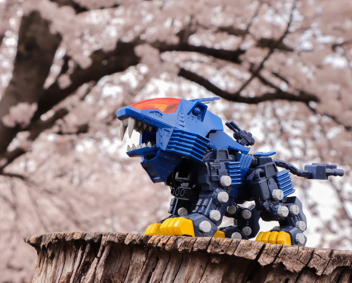 ぶれーど＠WILD WIND tweet media