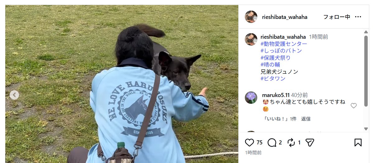 柴田さん珍しくインスタに動画上げてくれてて嬉しい