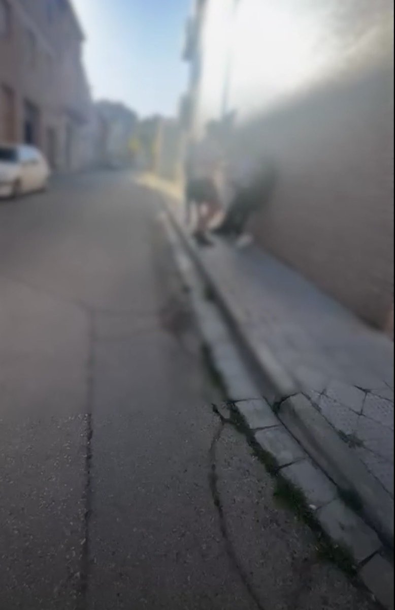 José Ramón López tweet media