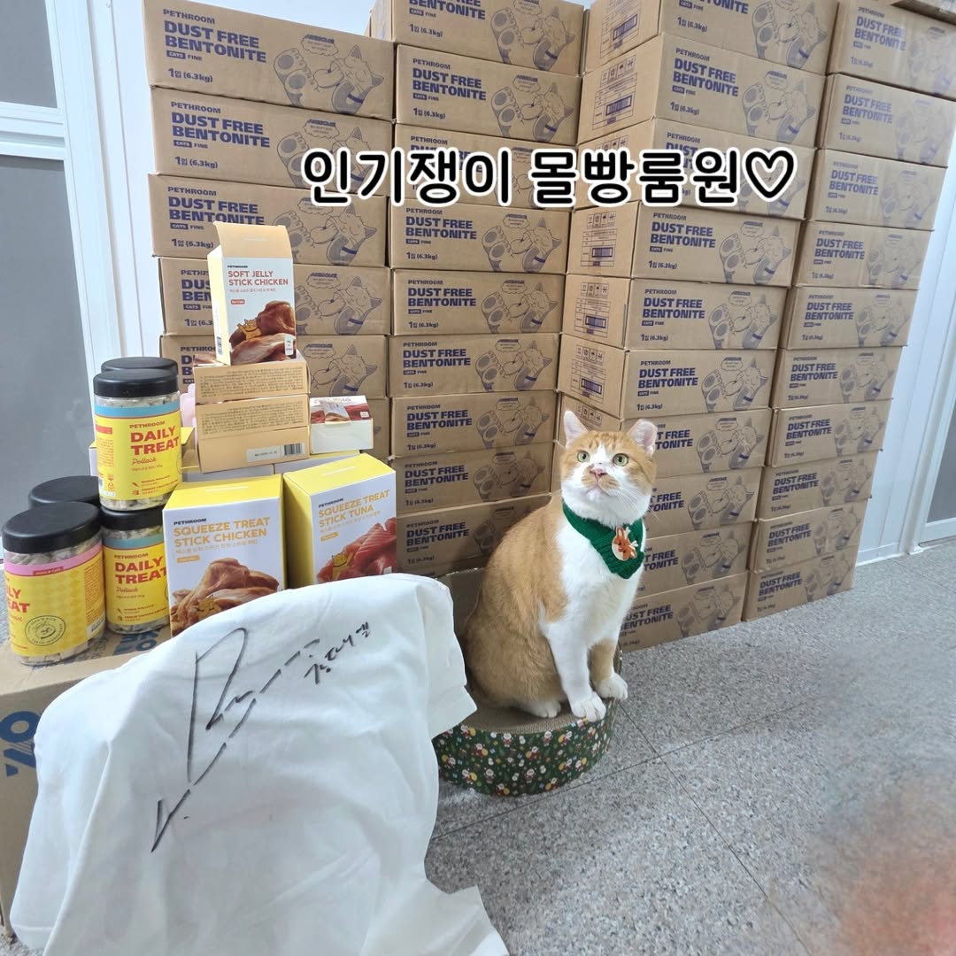 kdoutfit_officialx tweet media