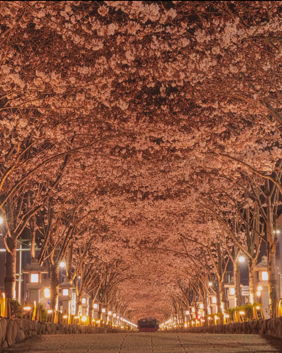 Hirokazu MORI tweet media