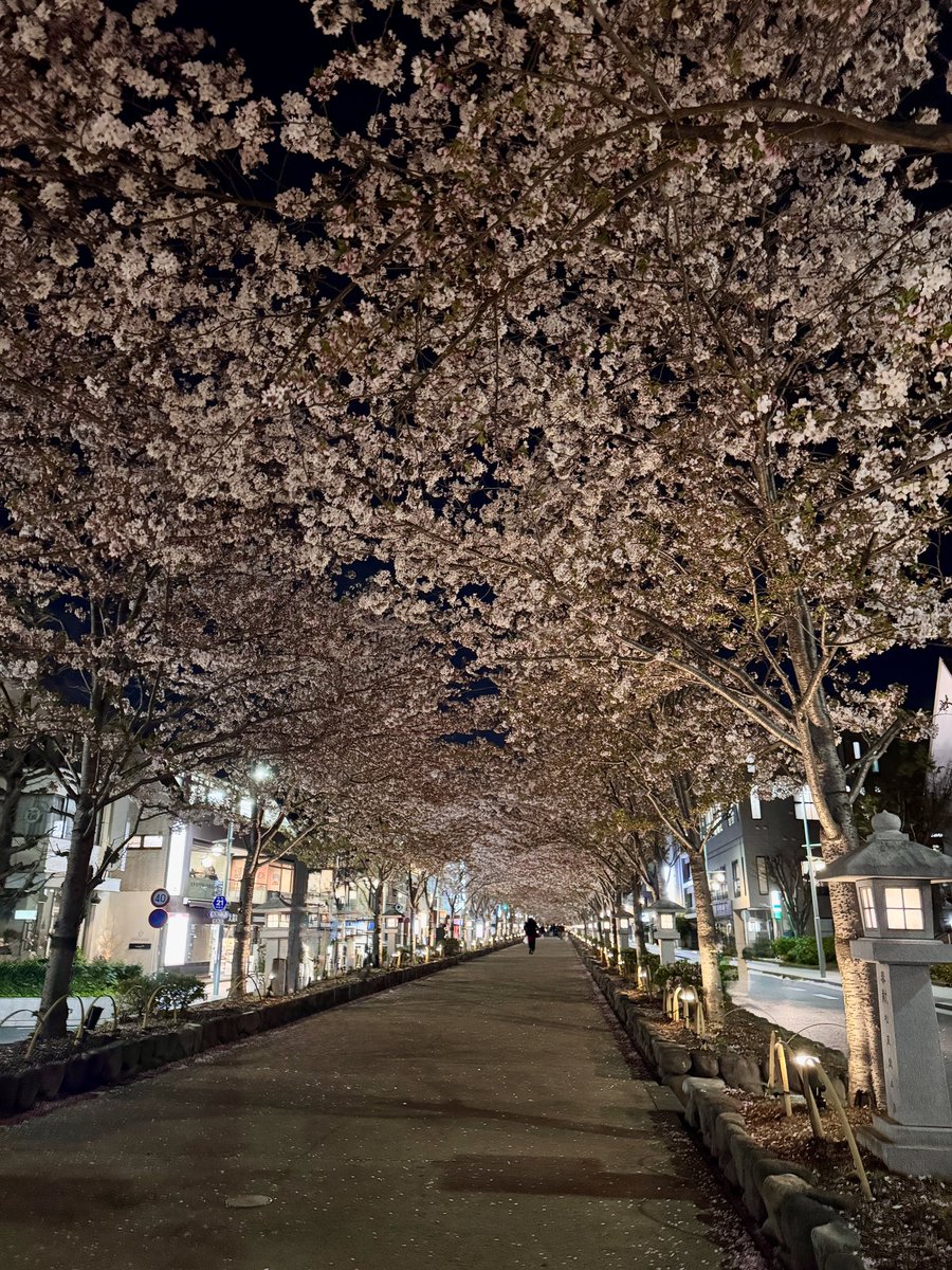 Hirokazu MORI tweet media