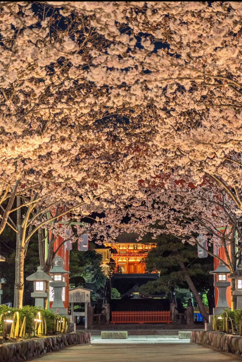 Hirokazu MORI tweet media