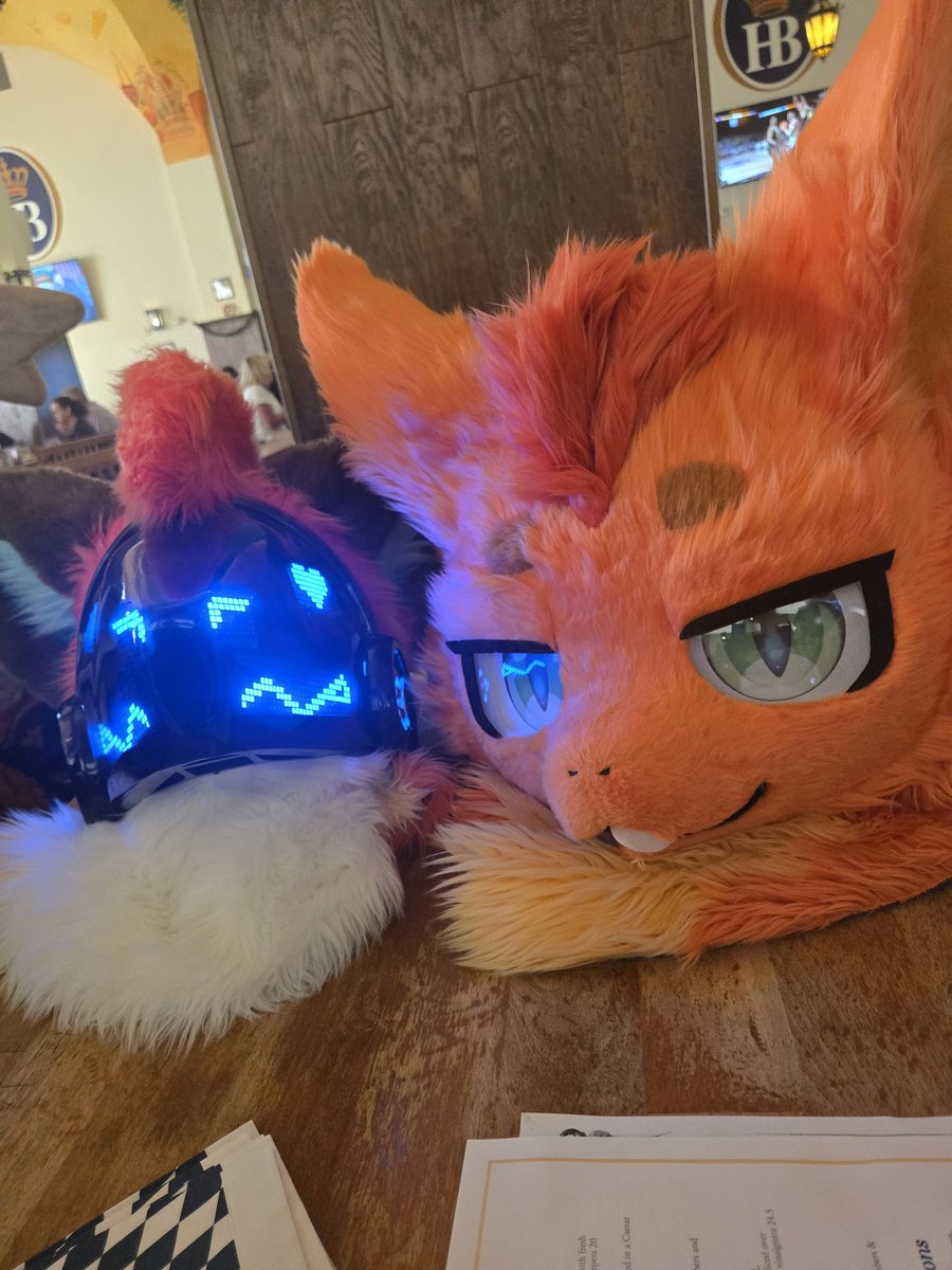 Lvfc experience be like:
- Get passout drunk first night after hours dancing
- Be too busy to take actual good photos
- Last min costco run into boba party that collapses entirely
- Butt spanked by large german woman
- Win $200, lose $300
- Gain severe pcd

0/10 Don't reccomend