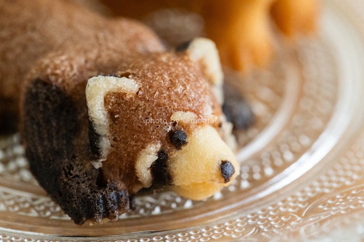 yuri abe ｜ mogfee tweet media