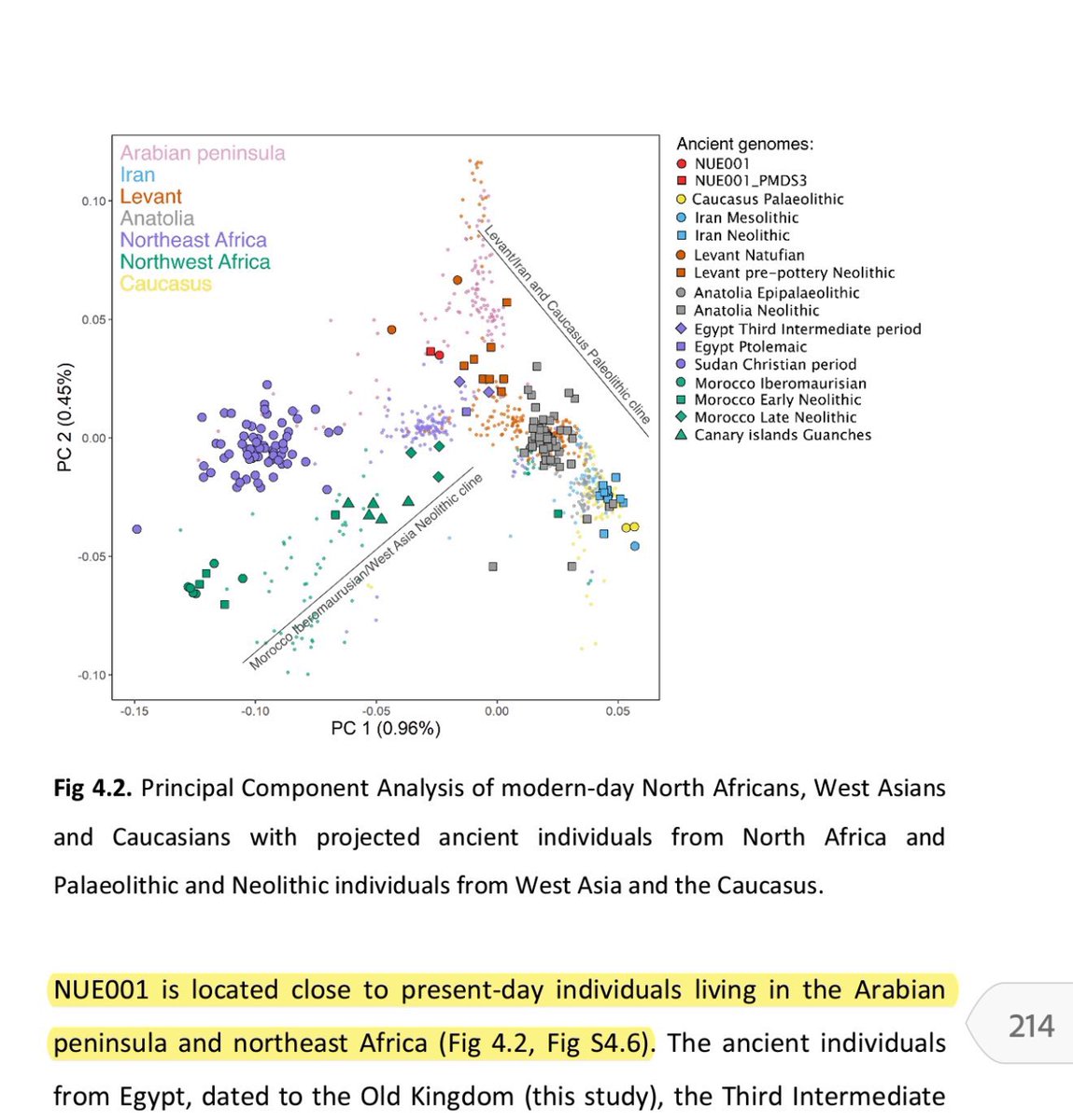 Ơmar |‏ᴹ⁸⁴ 🦅 tweet media