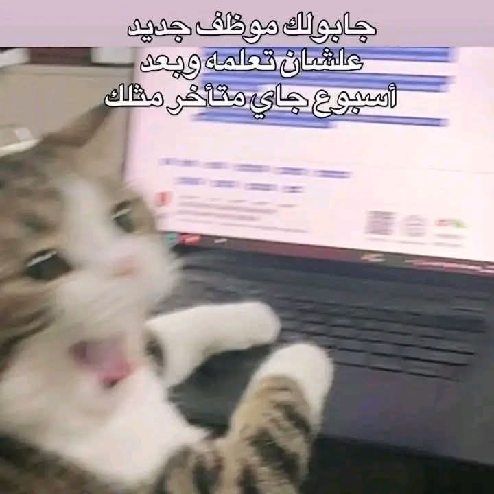 بتر الخواطر tweet media