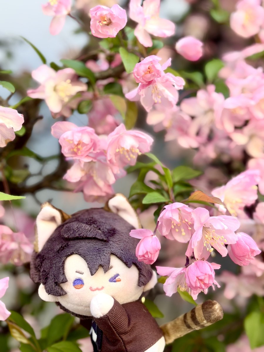 わたぬき☁️ tweet media