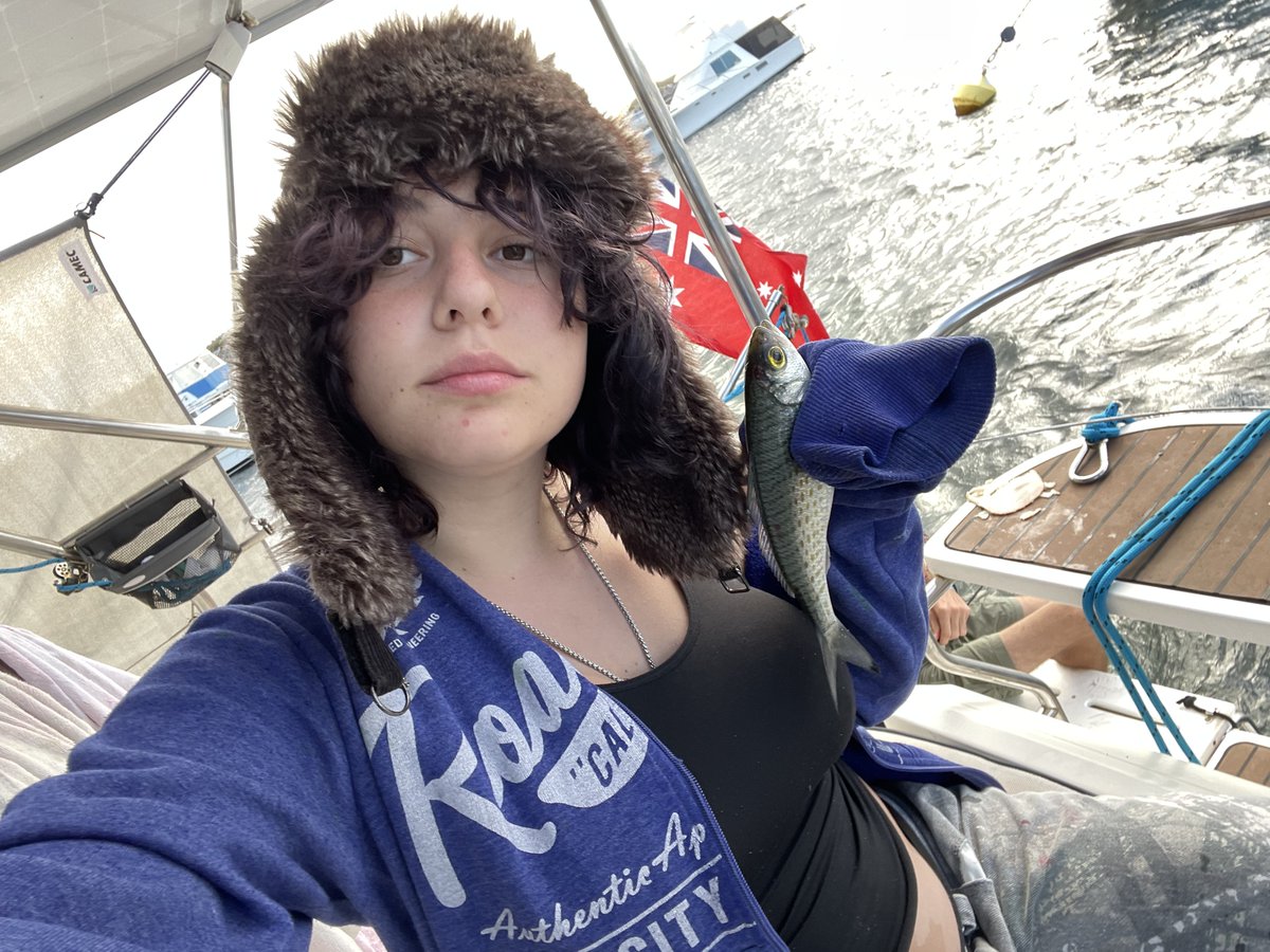 gyro of bugbite twt tweet media