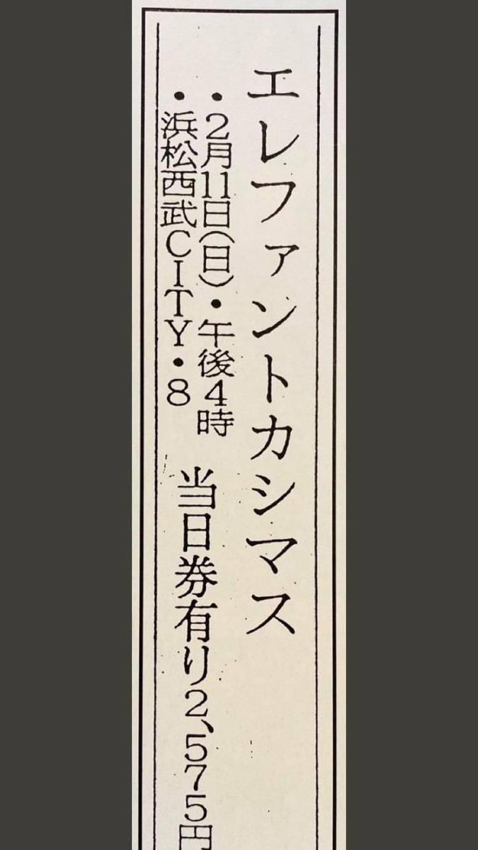 フェスティンガー𝕏 tweet media