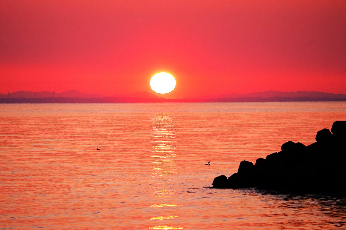 kumejirou202509's tweet image. 4月8日（水）　＃日の出
おはようございます
畑の梨が満開です
実を付けた事が無いのですがね

皆様今日もよろしくお願い致します