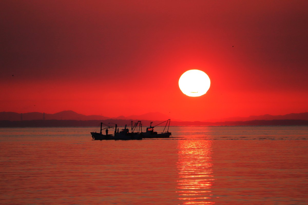 kumejirou202509's tweet image. 4月8日（水）　＃日の出
おはようございます
畑の梨が満開です
実を付けた事が無いのですがね

皆様今日もよろしくお願い致します