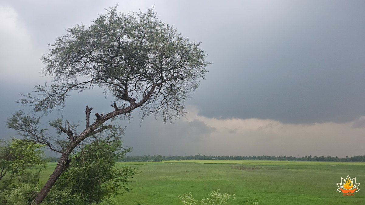 দীপ বসু রায় চৌধুরী tweet media