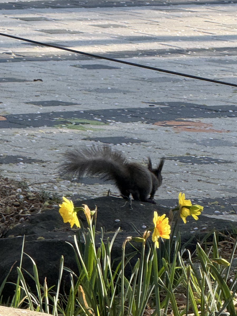 캣띄 (ᓀ‸ᓂ) tweet media