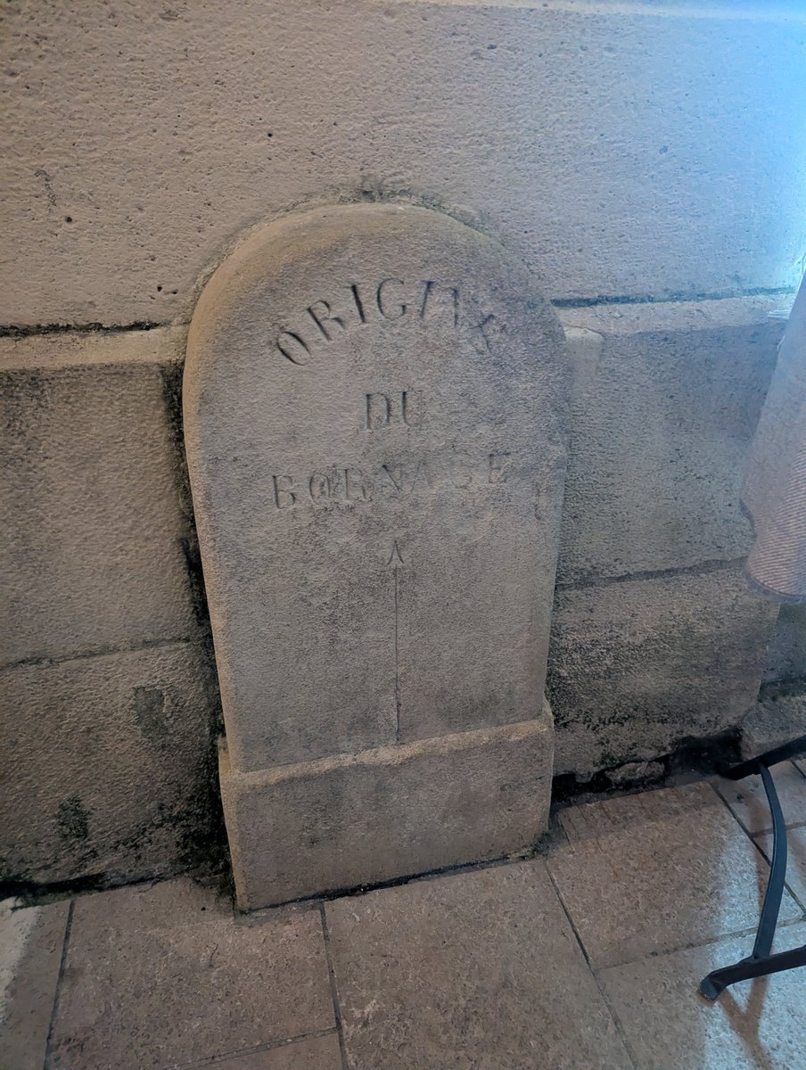 Nico Popy tweet media