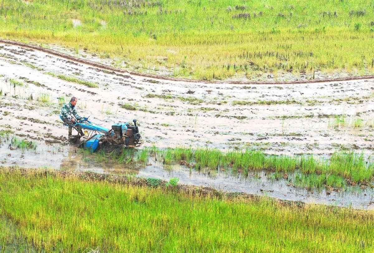 China Xinhua News tweet media