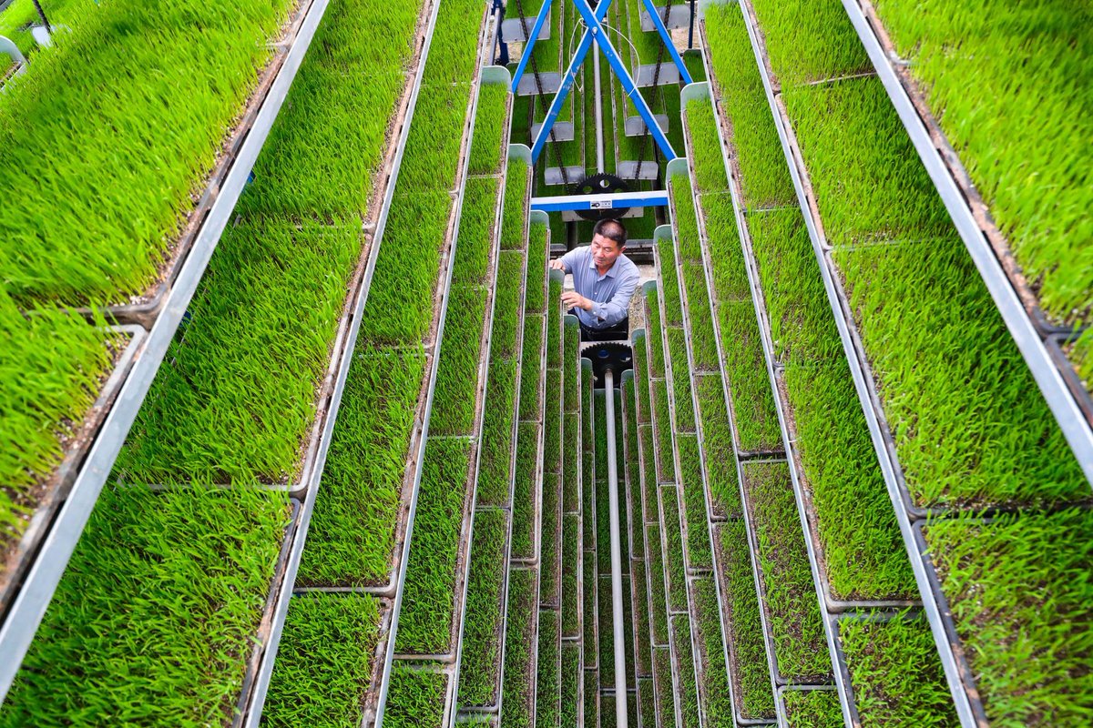 China Xinhua News tweet media