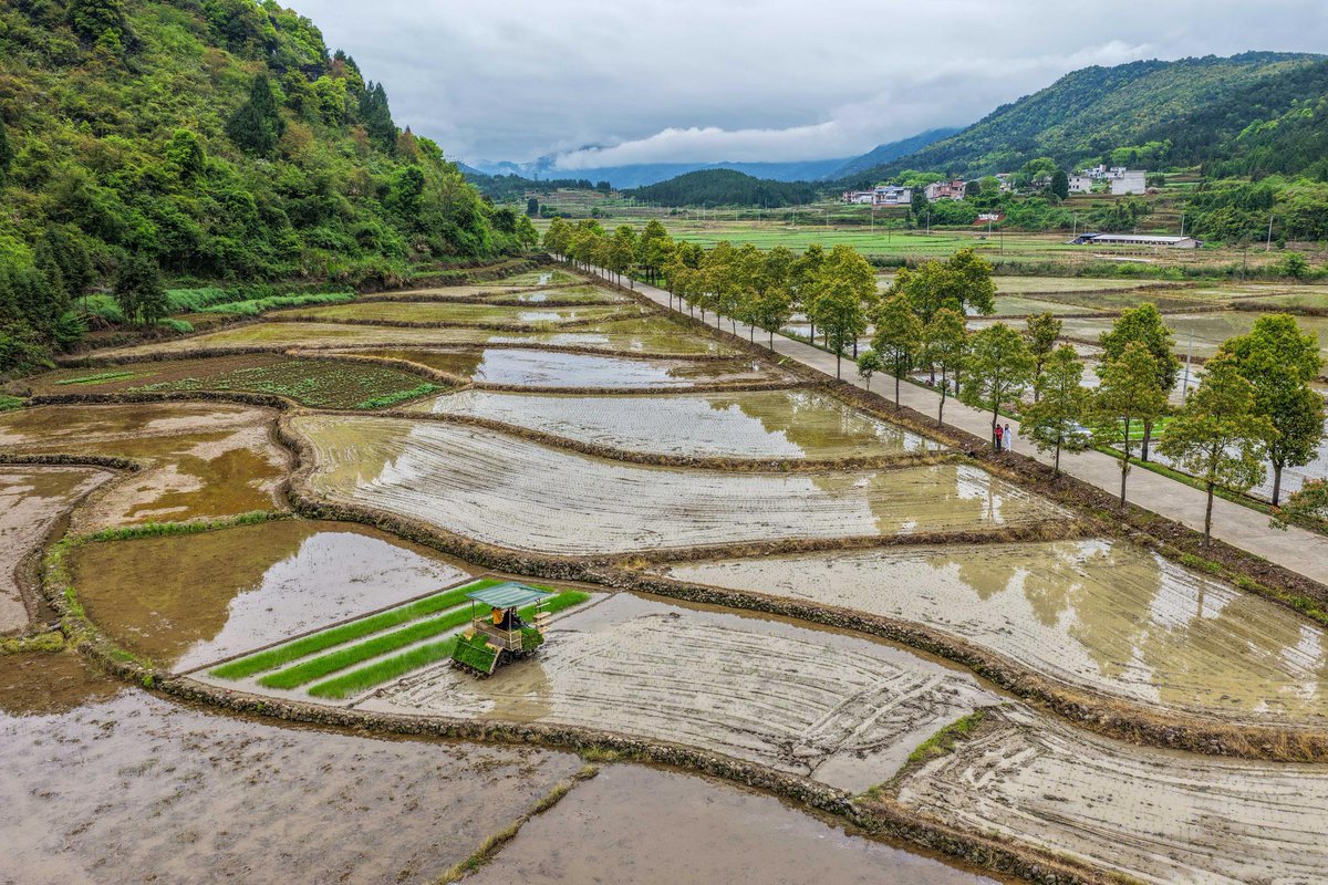 China Xinhua News tweet media