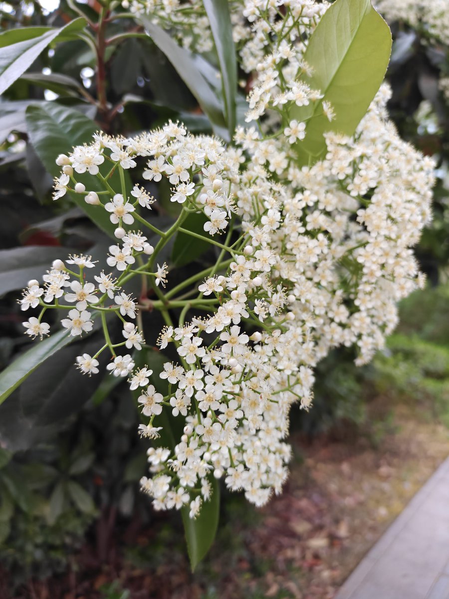 修靖德 tweet media