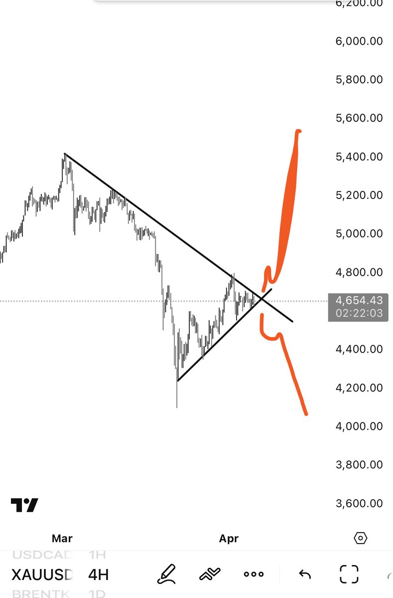 Tenon ♠️ tweet media