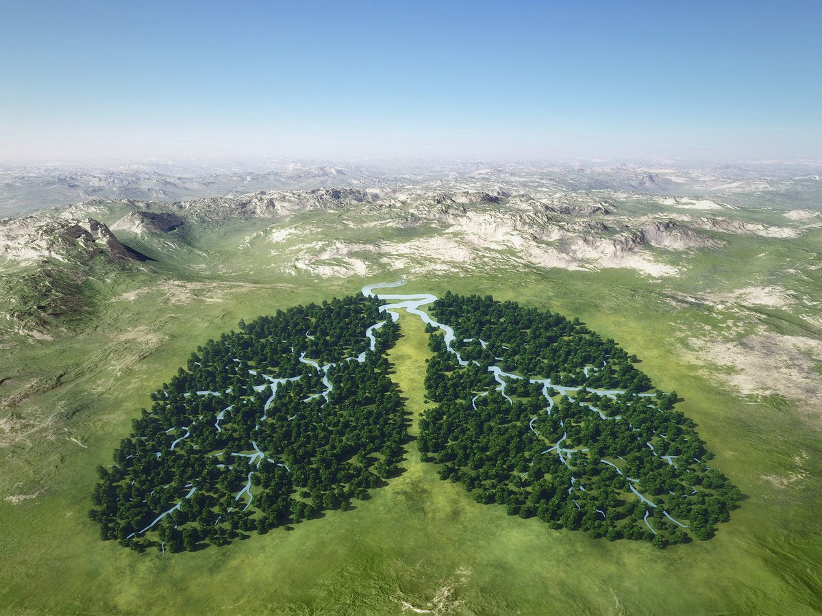 uncclearn's tweet image. Today is #WorldHealthDay, a reminder that climate change is also a health crisis.

From extreme heat and air pollution to food and water insecurity, climate change is already affecting people’s health worldwide.

#Health #PublicHealth #ClimateCrisis