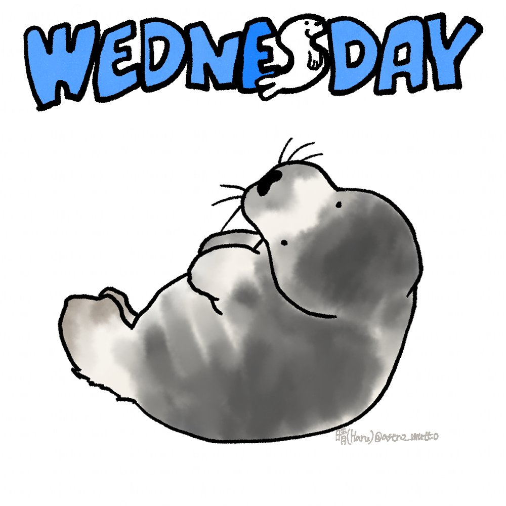 おはようございます☀

Good morning☀