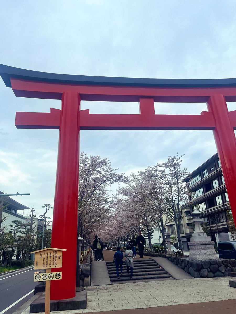 ▸︎▹︎mizüki tweet media