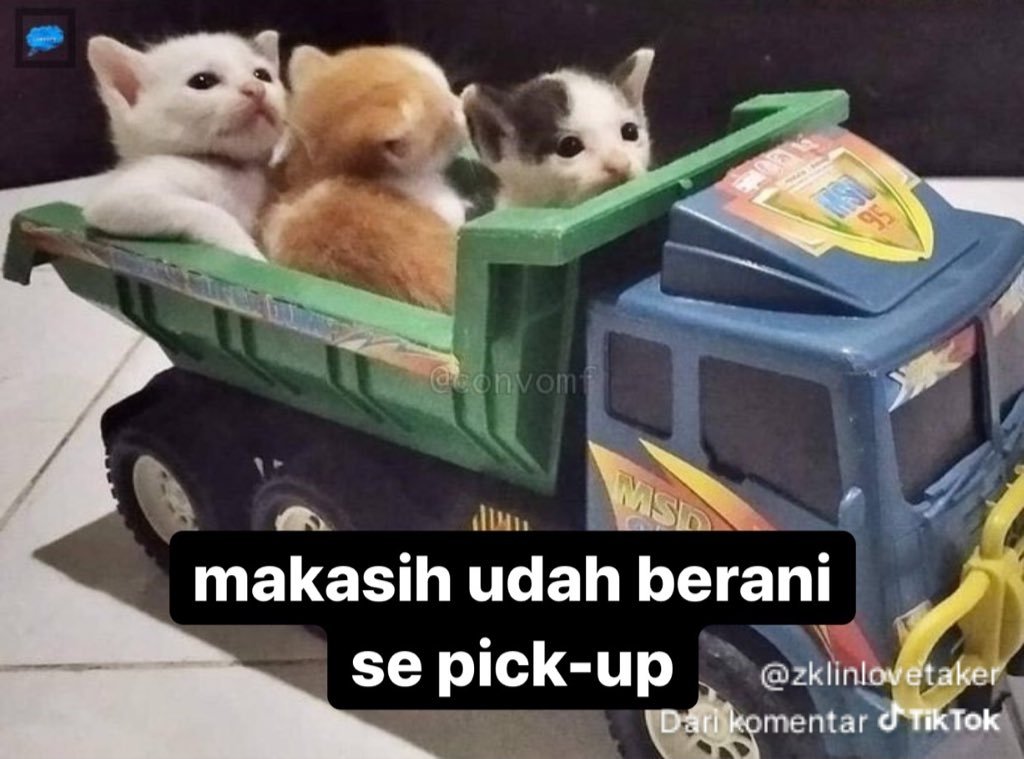 — yappieper ⛄️🎀 tweet media