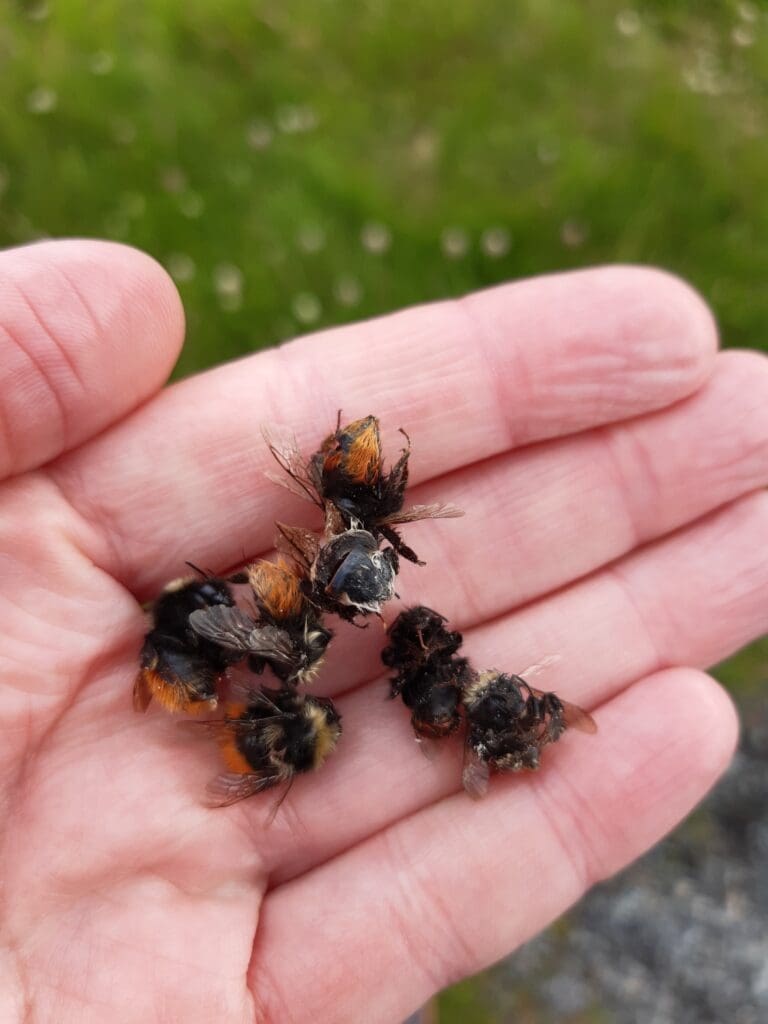 Give A Shit About Nature tweet media