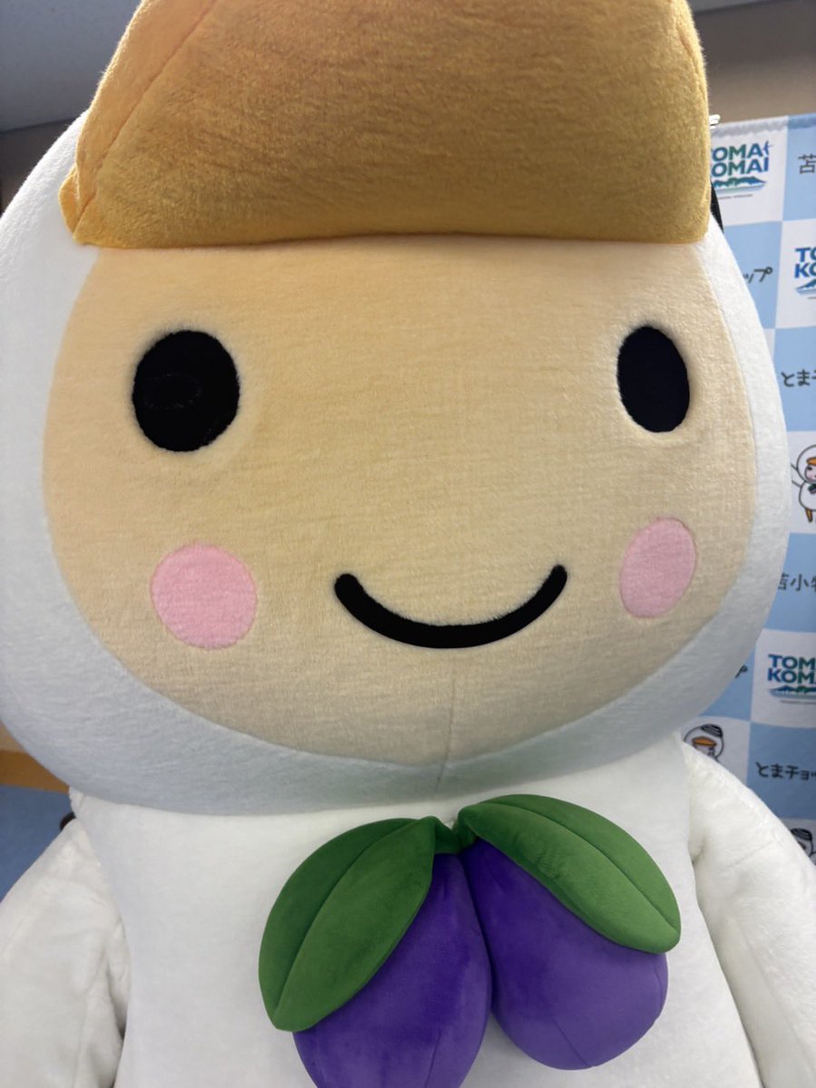 とまチョップ《公式》 tweet media