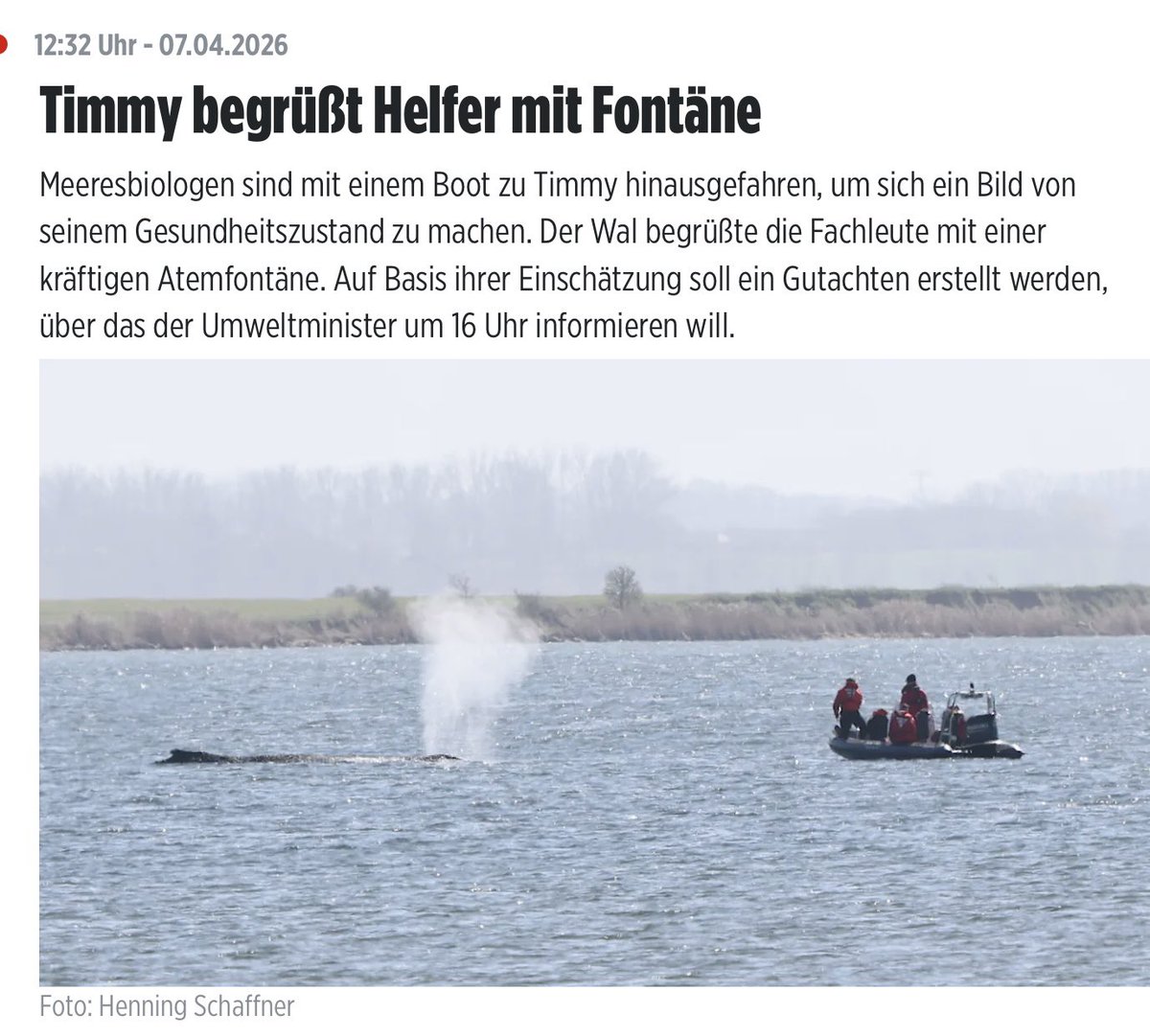 Laura Jean 🖤❤️💛 tweet media