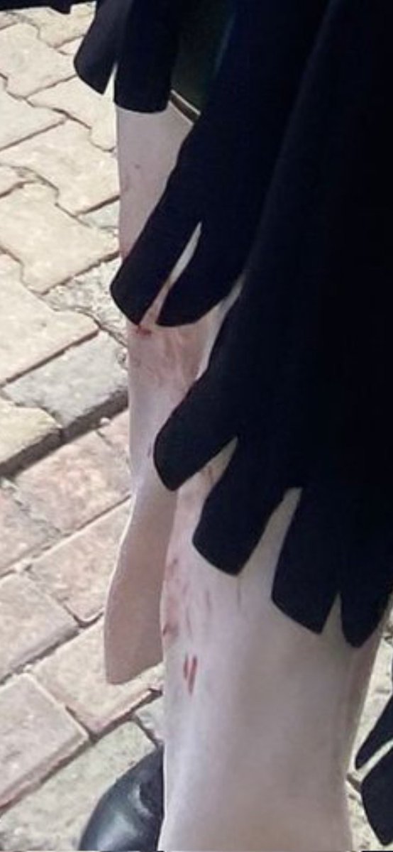 Büşra🌸:Erkek tarafı tweet media