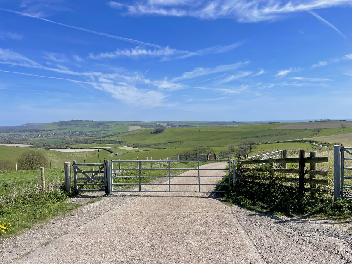 FreeByTheSea tweet media