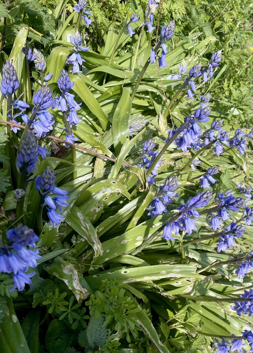 FreeByTheSea tweet media