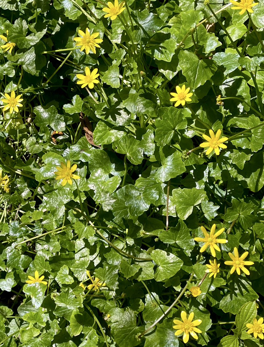 FreeByTheSea tweet media