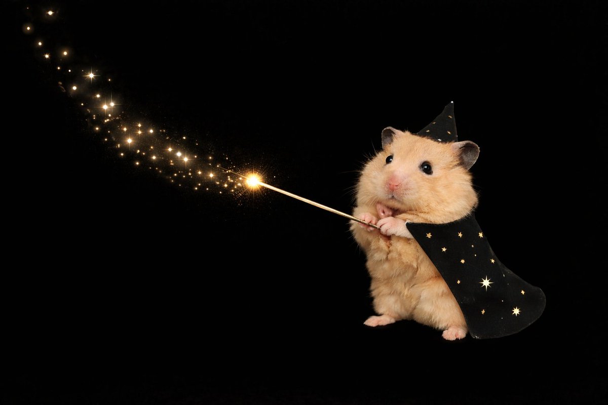 Tweets Of Hamster tweet media